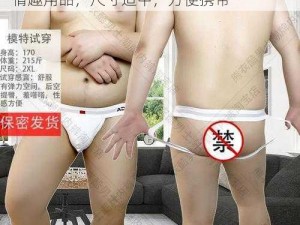 中国中年壮熊片 GAYTⅤ 经典款成人男用情趣用品，尺寸适中，方便携带