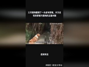 最新热映一边亲上一遍面膜下电视剧免费，好看到爆