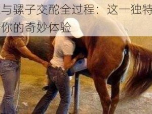 女性与骡子交酡全过程：这一独特商品带给你的奇妙体验