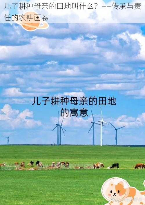 儿子耕种母亲的田地叫什么？——传承与责任的农耕画卷