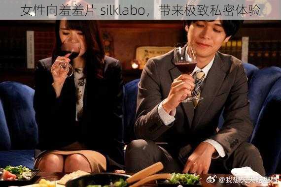 女性向羞羞片 silklabo，带来极致私密体验